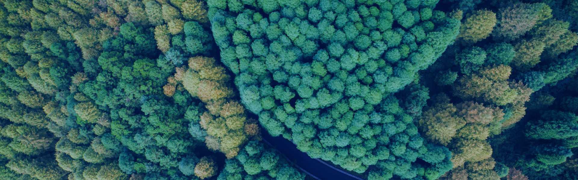 誠信為本，不忘初心