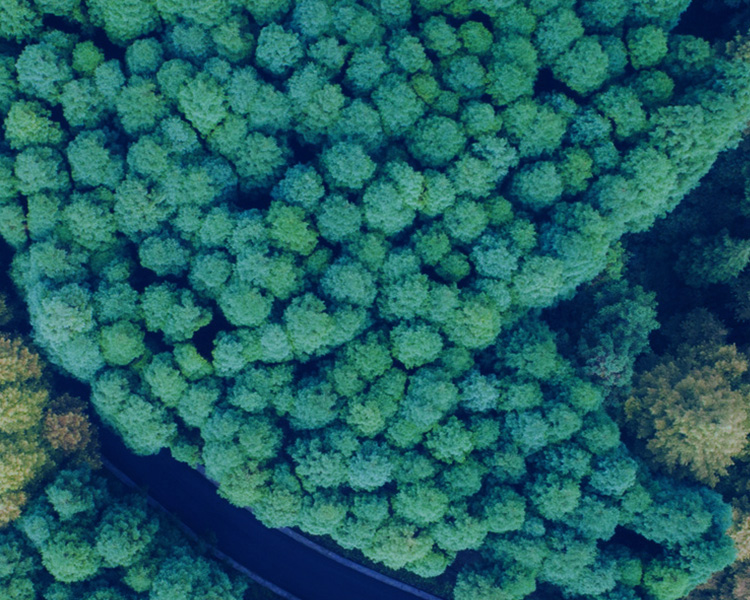 誠信為本，不忘初心